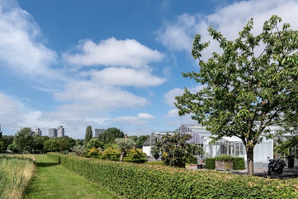 Medium property photo - Willem Beukelsstraat 20h, 1097 CS Amsterdam